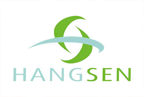 Hangsen Salt