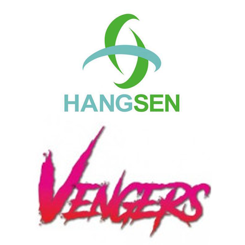 Hangsen VENGERS