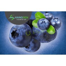 Cranberry Hangsen 10ml/30ml ✭ BLUEBERRY Hangsen