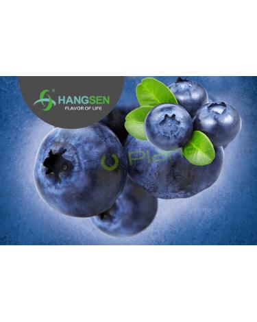 Cranberry Hangsen 10ml/30ml ✭ BLUEBERRY Hangsen