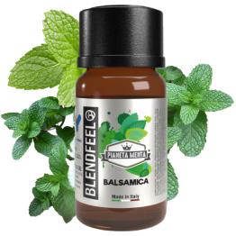 Aroma Balsamica 10ml Pianeta Menta Blendfeel