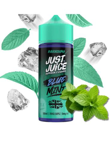 Blue Mint Just Juice Mint Range 100ml
