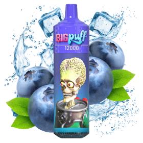 Blueberry Ice 12000 Puffs - Big Puff (SEM NECOTINA)