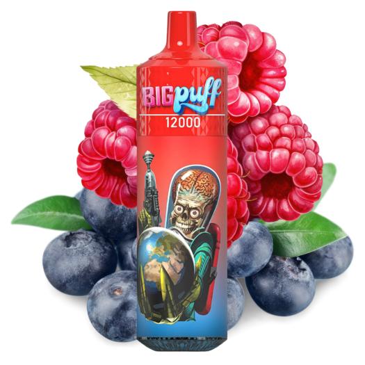 Blueberry Raspberry 12000 Puffs - Big Puff (SEM NECOTINA)