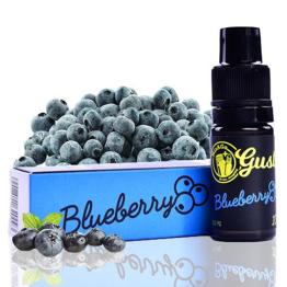 CHEMNOVATIC MIX&GO GUSTO Blueberry Aroma 10ml
