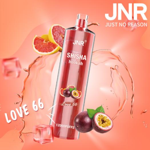 Narguilé descartável LOVE 66 Shisha JNR 12000 baforadas SEM NICOTINA