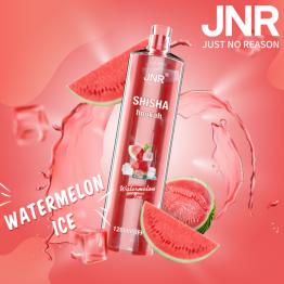Descartável WATERMELON ICE Shisha Hookah JNR 12000 Puff SEM NICOTINA