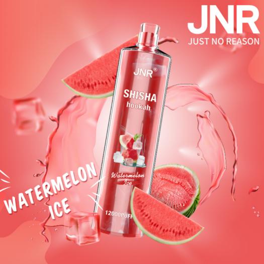 Narguilé descartável WATERMELON ICE Shisha JNR 12000 Puff SEM NICOTINA
