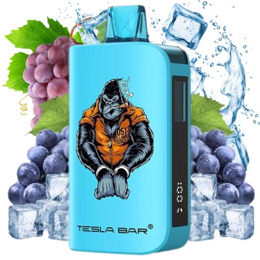 GRAPE ICE ST 10000 Puff Tesla Bar by Teslacigs