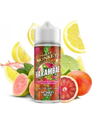 HARAMBAE Twelve Monkeys Vapor Co. 100ml + Nicokits Gratis