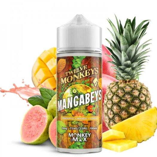 MANGABEYS Twelve Monkeys Vapor Co. 100ml + Nicokits Gratis