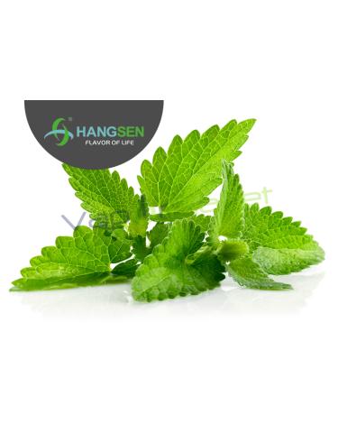 Hortelã Hangsen 10ml/30ml ✭ Líquidos Hangsen MINT