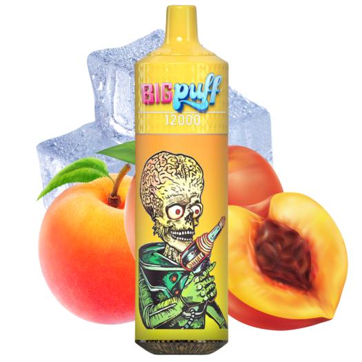 Peach Ice 12000 Puffs - Big Puff (SEM NECOTINA)