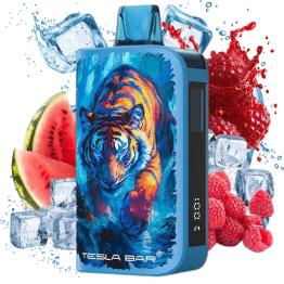 Raspberry Watermelon Ice ST 10000 Puff Tesla Bar by Teslacigs