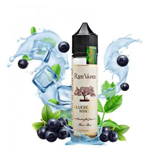 ▷ RIPE VAPES Blueberry Mint 50ml + Nicokit Gratis