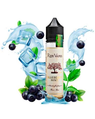 ▷ RIPE VAPES Blueberry Mint 50ml + Nicokit Gratis