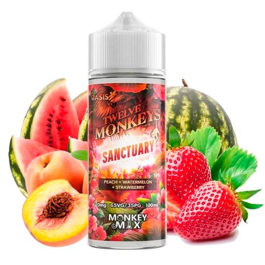 SANCTUARY Monkey Mix 100ml + Nicokits - Twelve Monkeys