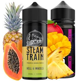 Steam Train Hell On Wheels 30ml/120 Longfill