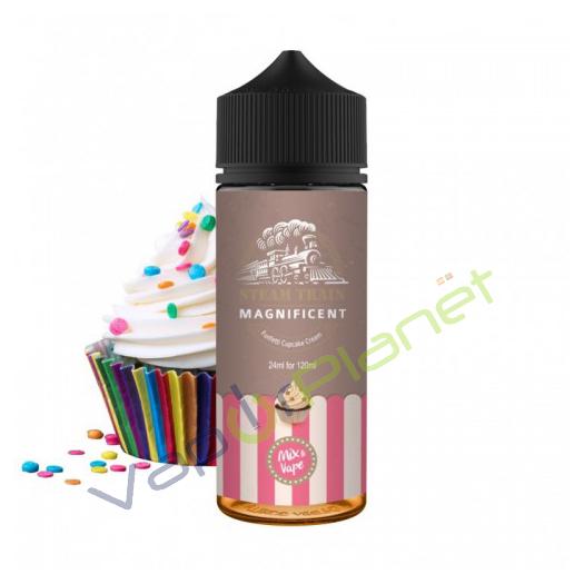 Steam Train MAGNIFICIENT - 100ml + 2 Nicokits Gratis