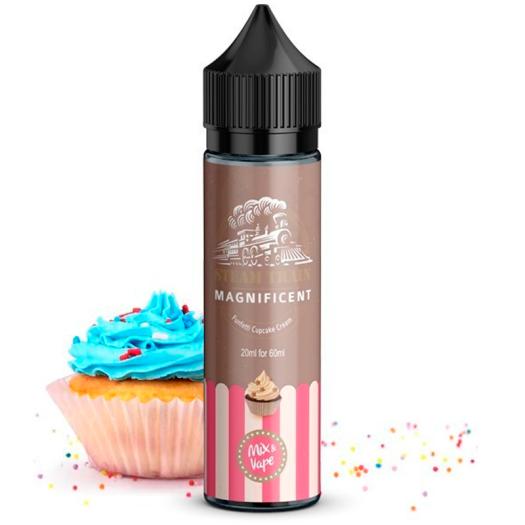 Steam Train MAGNIFICIENT - 50ml + Nicokit Gratis