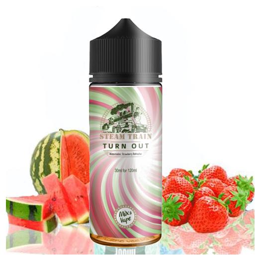 Steam Train TURN OUT - 100ml + 2 Nicokits Gratis