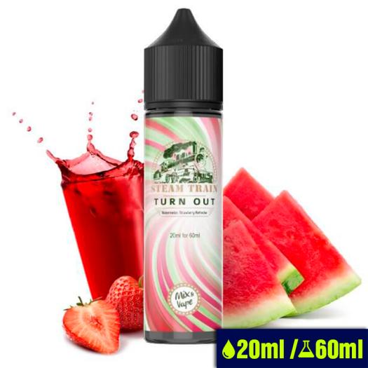 Steam Train TURN OUT Vape Shot 20ml