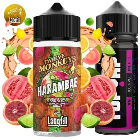 Twelve Monkeys Harambae 20ml/120 Longfill
