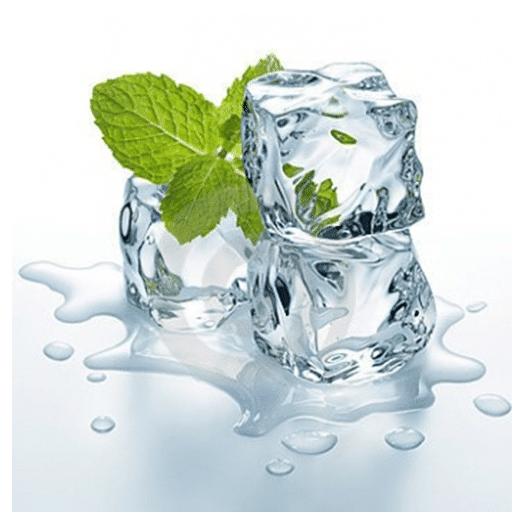 Vap Fip MINT-MENTHOL 10ml - Líquidos para vaporização