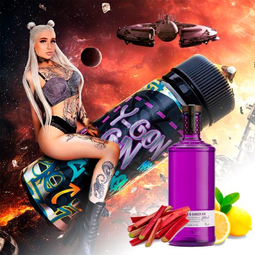 Y GON GIN STEEPLYFE 100ml + 2 Nicokits