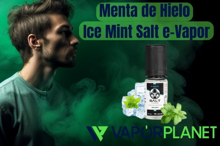 Ice Mint - Ice Mint Salt e-Vapor 10 ml – 10 mg e 20 mg – Líquido com SAIS DE NICOTINA